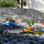 Madeira