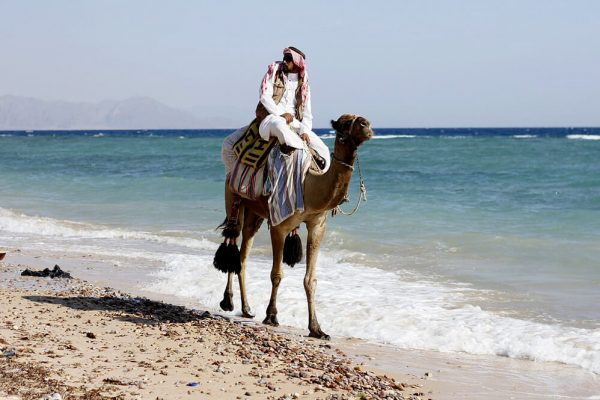 egito_sinai_gallery0102_Sharm-el-Sheikh